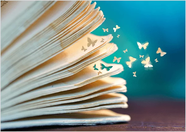 Custom Book Cover